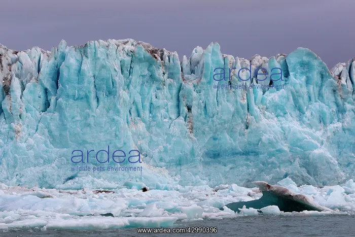: Lilliehook Glacier : Lilliehook Glacier