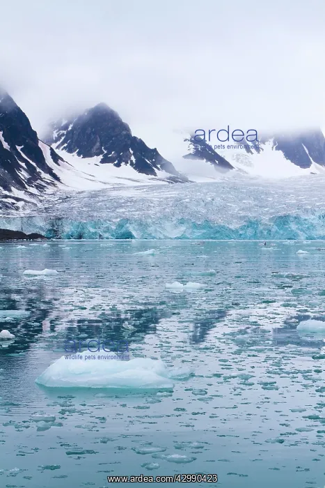 : Lilliehook Glacier : Lilliehook Glacier