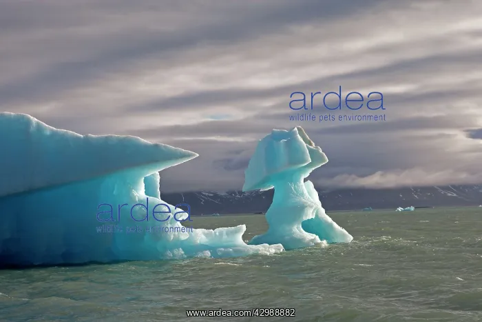 : Lilliehook Glacier. Krossfjorden, Svalbard, Spitzbergern : Lilliehook Glacier. Krossfjorden, Svalbard, Spitzbergern