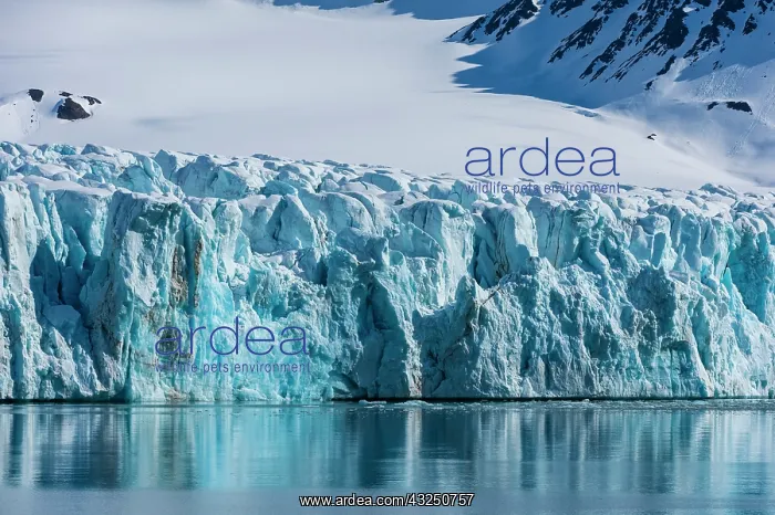: Lilliehookbreen Glacier, Spitsbergen, Svalbard Islands : Lilliehookbreen Glacier, Spitsbergen, Svalbard Islands