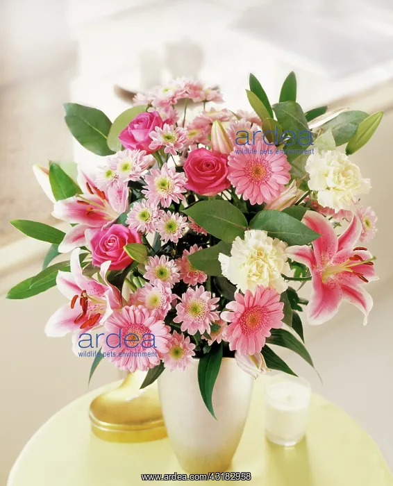 : Lily, Lilium Star Gazer, Floral arrangement with : Lily, Lilium Star Gazer, Floral arrangement with