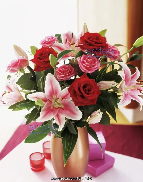 : Lily, Lilium Star Gazer, Floral arrangement with : Lily, Lilium Star Gazer, Floral arrangement with