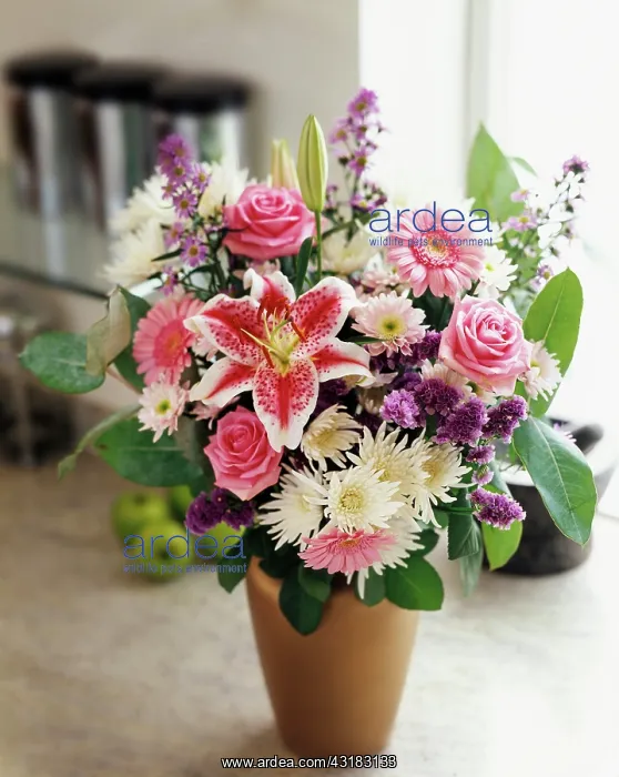  : Lily, Lilium Star Gazer, Floral Arrangement with