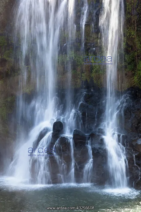 : Lily waterfall near Ampefy, Itasy region, Central : Lily waterfall near Ampefy, Itasy region, Central