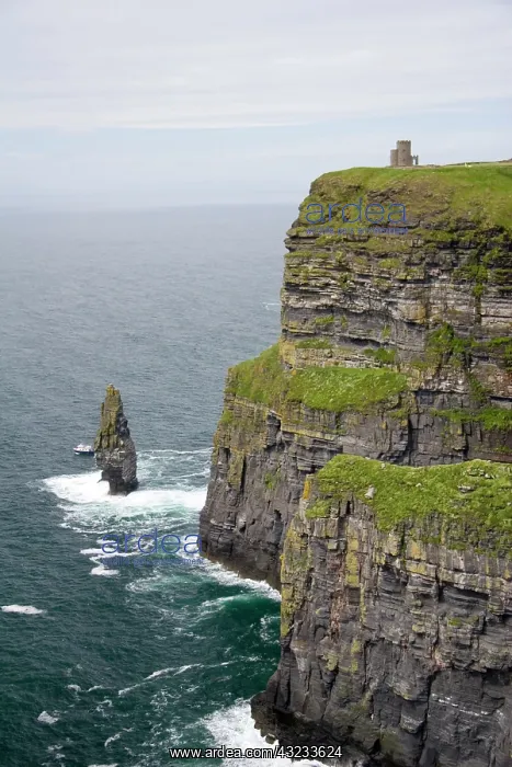 : Limerick, Ireland. These are spectacular : Limerick, Ireland. These are spectacular