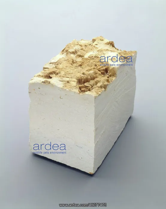 : Limestone. A block of limestone : Limestone. A block of limestone