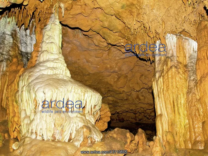 : Limestone Cascade and Column Formations : Limestone Cascade and Column Formations