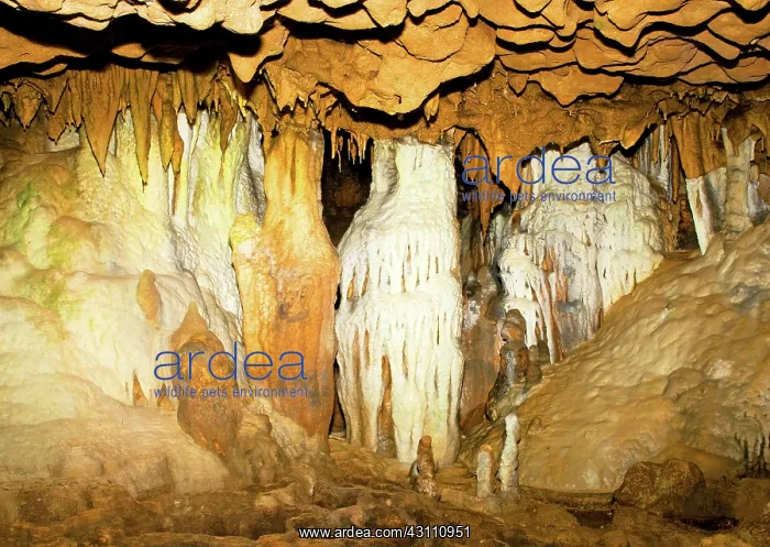: Limestone Cascade and Column Formations : Limestone Cascade and Column Formations