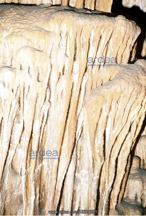: LIMESTONE CAVES - STALACTITES : LIMESTONE CAVES - STALACTITES