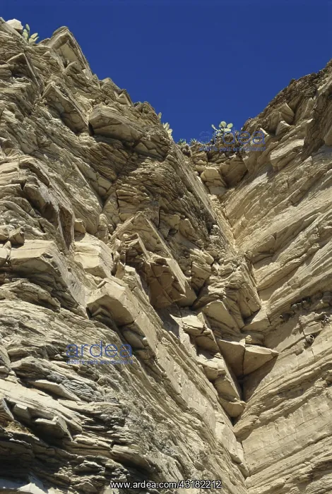  : Limestone Cliff in Texas