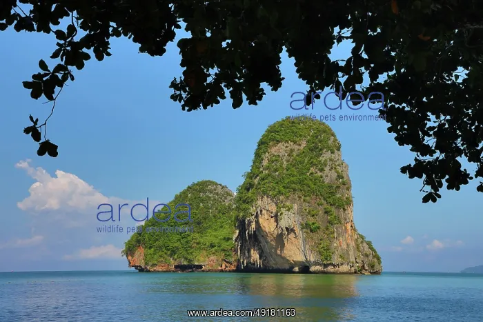 : Limestone cliffs of Phra Nang Beach, Krabi, Thailand