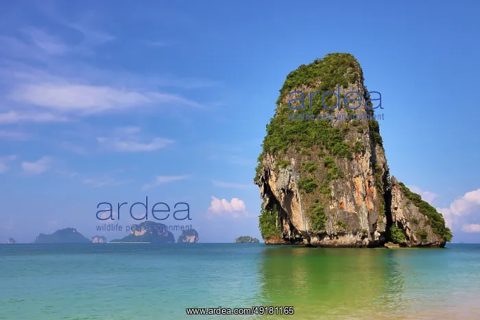  : Limestone cliffs of Phra Nang Beach, Krabi, Thailand