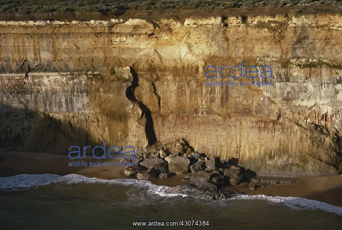 : Limestone Cliffs, Victoria, Australia : Limestone Cliffs, Victoria, Australia