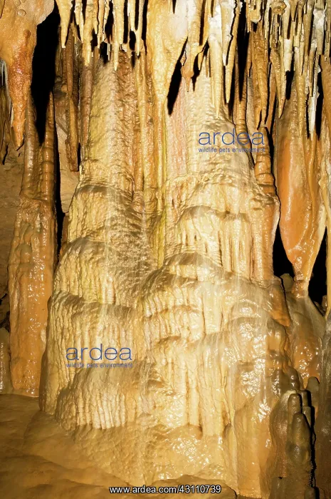 : Limestone Column and Drapery Formation : Limestone Column and Drapery Formation