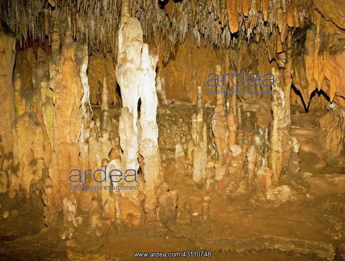 : Limestone Columns and Stalagmite : Limestone Columns and Stalagmite