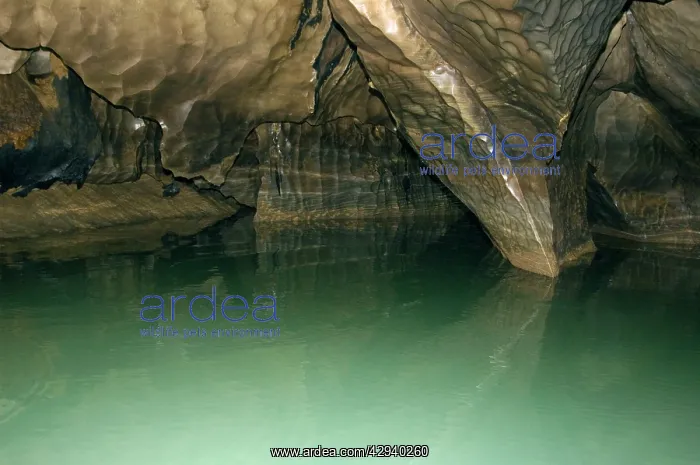 : Limestone formations in the cave, that features : Limestone formations in the cave, that features