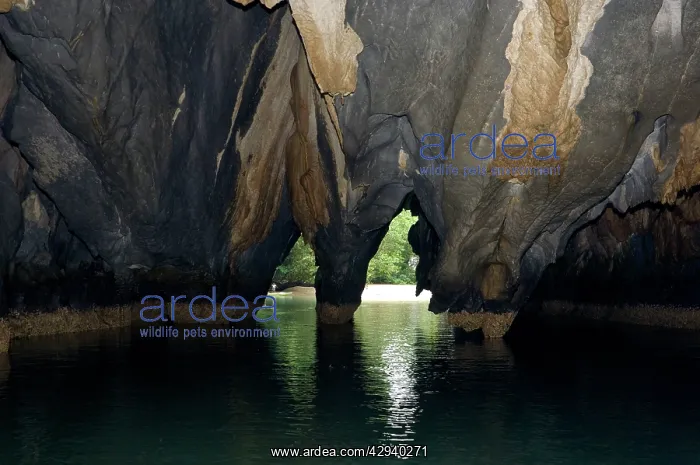 : Limestone formations on the exit from the cave : Limestone formations on the exit from the cave