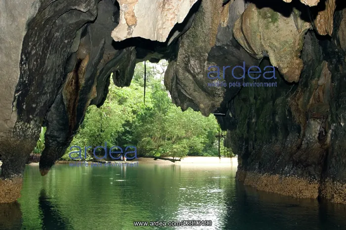 : Limestone formations on the exit from the cave : Limestone formations on the exit from the cave