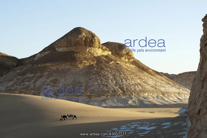 : Limestone formations White Desert Eastern Sahara Egypt : Limestone formations White Desert Eastern Sahara Egypt