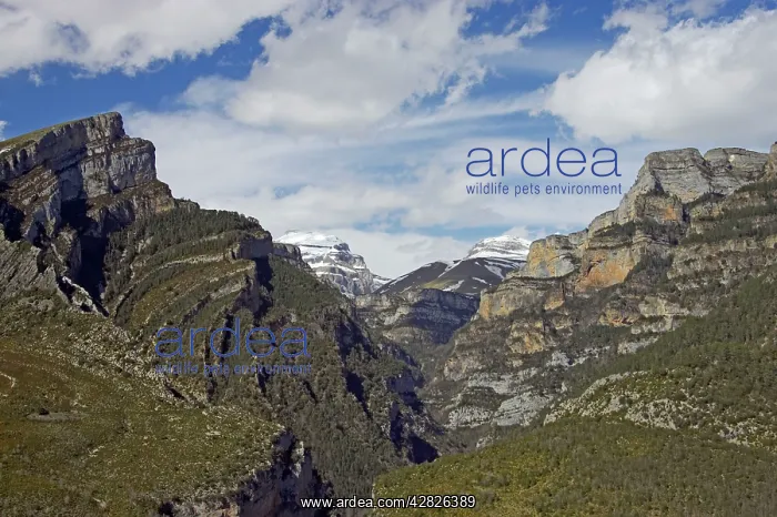 : Limestone Hills of the Pyrenees : Limestone Hills of the Pyrenees