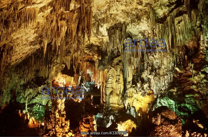 : LIMESTONE - NERJA CAVES : LIMESTONE - NERJA CAVES