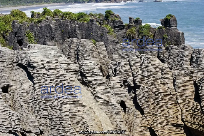 : Limestone outcrops on cliffs : Limestone outcrops on cliffs