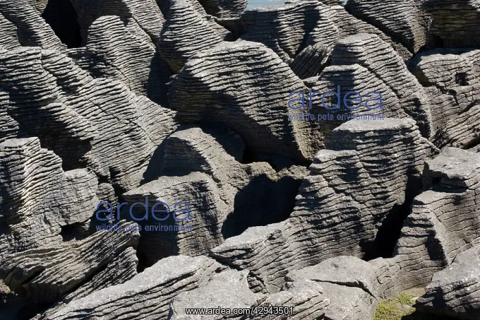 : Limestone outcrops on cliffs : Limestone outcrops on cliffs