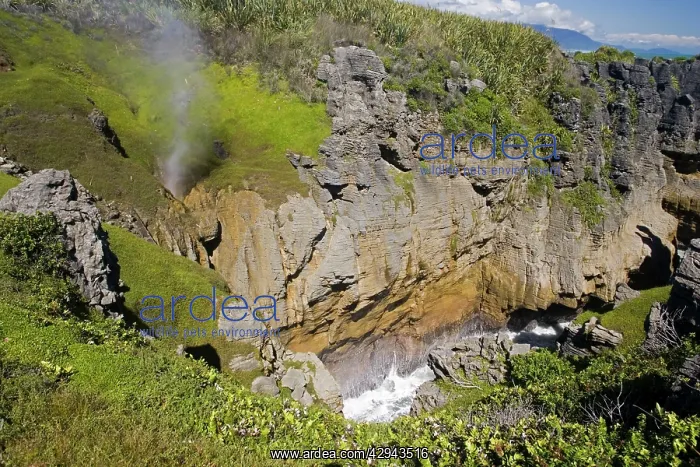 : Limestone outcrops on cliffs : Limestone outcrops on cliffs