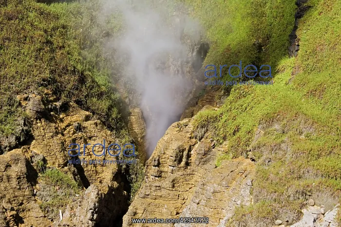 : Limestone outcrops on cliffs : Limestone outcrops on cliffs