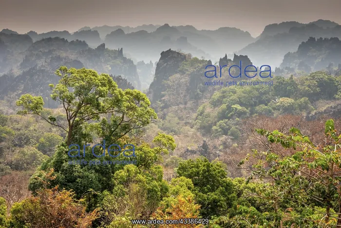 : Limestone Peaks Lookout and misty mountain views, K : Limestone Peaks Lookout and misty mountain views, K