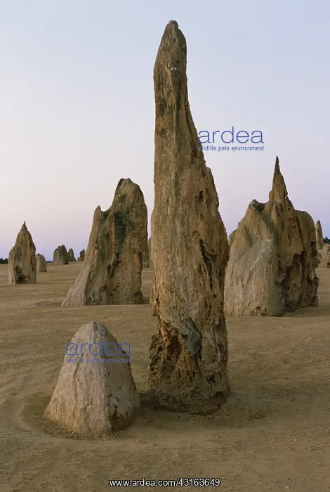 : Limestone Pinnacle, Australia : Limestone Pinnacle, Australia