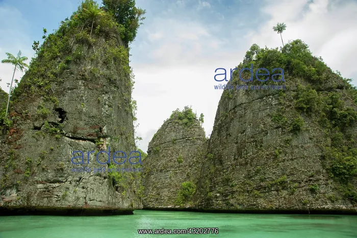 : Limestone pinnacle islands - Raja Ampat, West Papua : Limestone pinnacle islands - Raja Ampat, West Papua