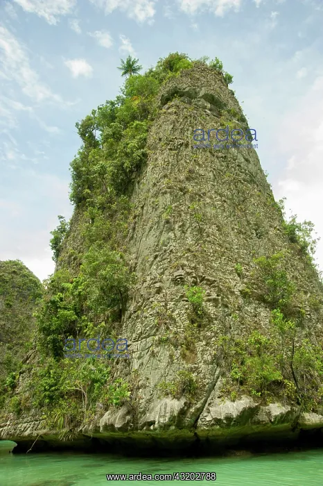 : Limestone pinnacle islands - Raja Ampat, West Papua : Limestone pinnacle islands - Raja Ampat, West Papua
