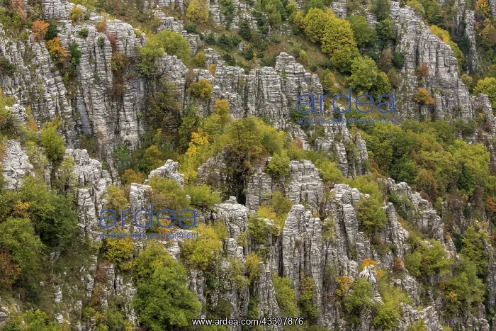 : Limestone pinnacles and autumn colour in the wild : Limestone pinnacles and autumn colour in the wild