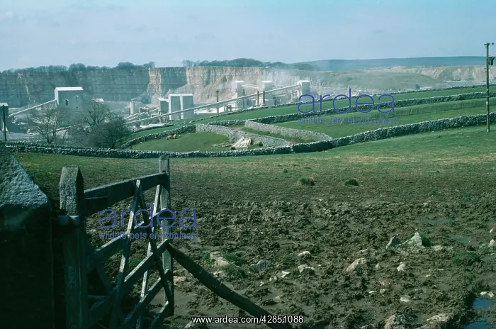 : Limestone Quarry : Limestone Quarry