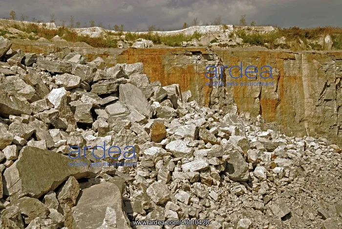 : Limestone Quarry : Limestone Quarry