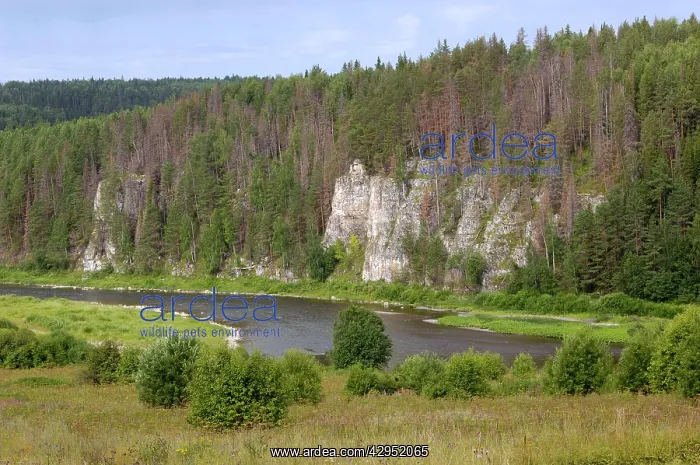  : Limestone rocks along river Chusovaya - the symbol