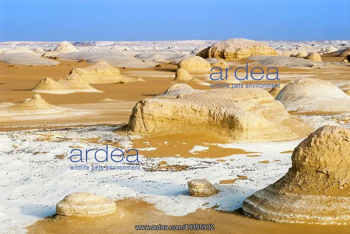: Limestone rocks, White Desert, Western Desert, Egypt : Limestone rocks, White Desert, Western Desert, Egypt