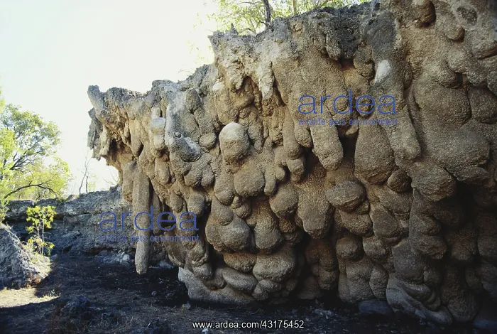  : Limestone Sinkhole