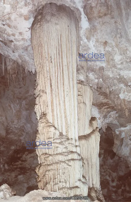  : Limestone - stalagmite formation