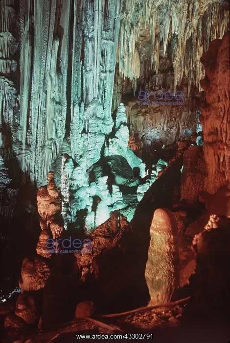  : Limestone - Stalagmites