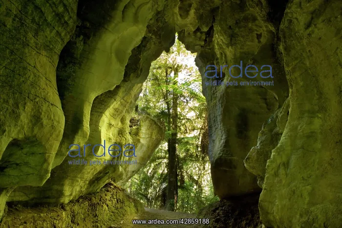: Limestone Tunnel - a narrow path leads through : Limestone Tunnel - a narrow path leads through