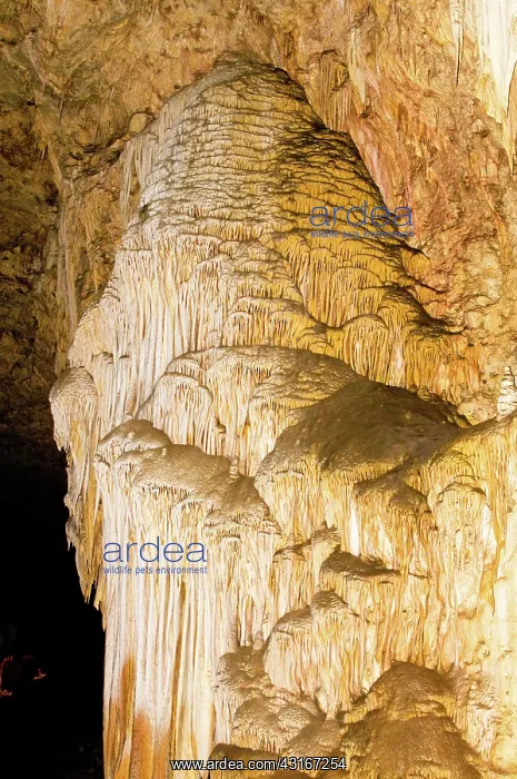 : Limestone Waterfall Formation in Carlsbad Caverns : Limestone Waterfall Formation in Carlsbad Caverns