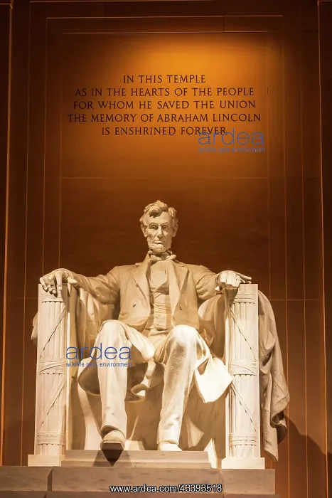 : The Lincoln Memorial at night, Washington, D.C : The Lincoln Memorial at night, Washington, D.C
