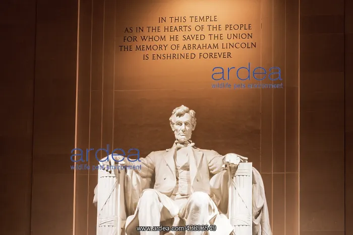 : The Lincoln Memorial at night, Washington, D.C : The Lincoln Memorial at night, Washington, D.C