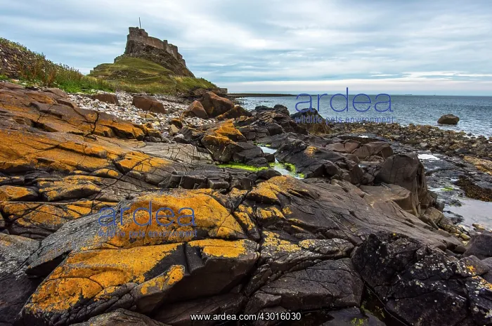  : Lindisfarne Castle
