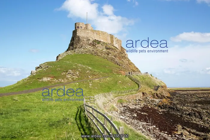  : Lindisfarne Castle, Holy Island, Northumberland