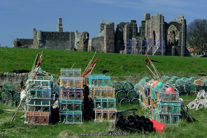 : Lindisfarne, Holy Island - Lobster pots in front : Lindisfarne, Holy Island - Lobster pots in front