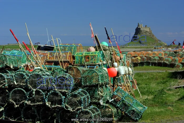 : Lindisfarne, Holy Island - stacked lobster pots : Lindisfarne, Holy Island - stacked lobster pots