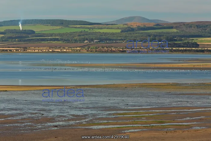  : Lindisfarne National Nature Reserve - view from